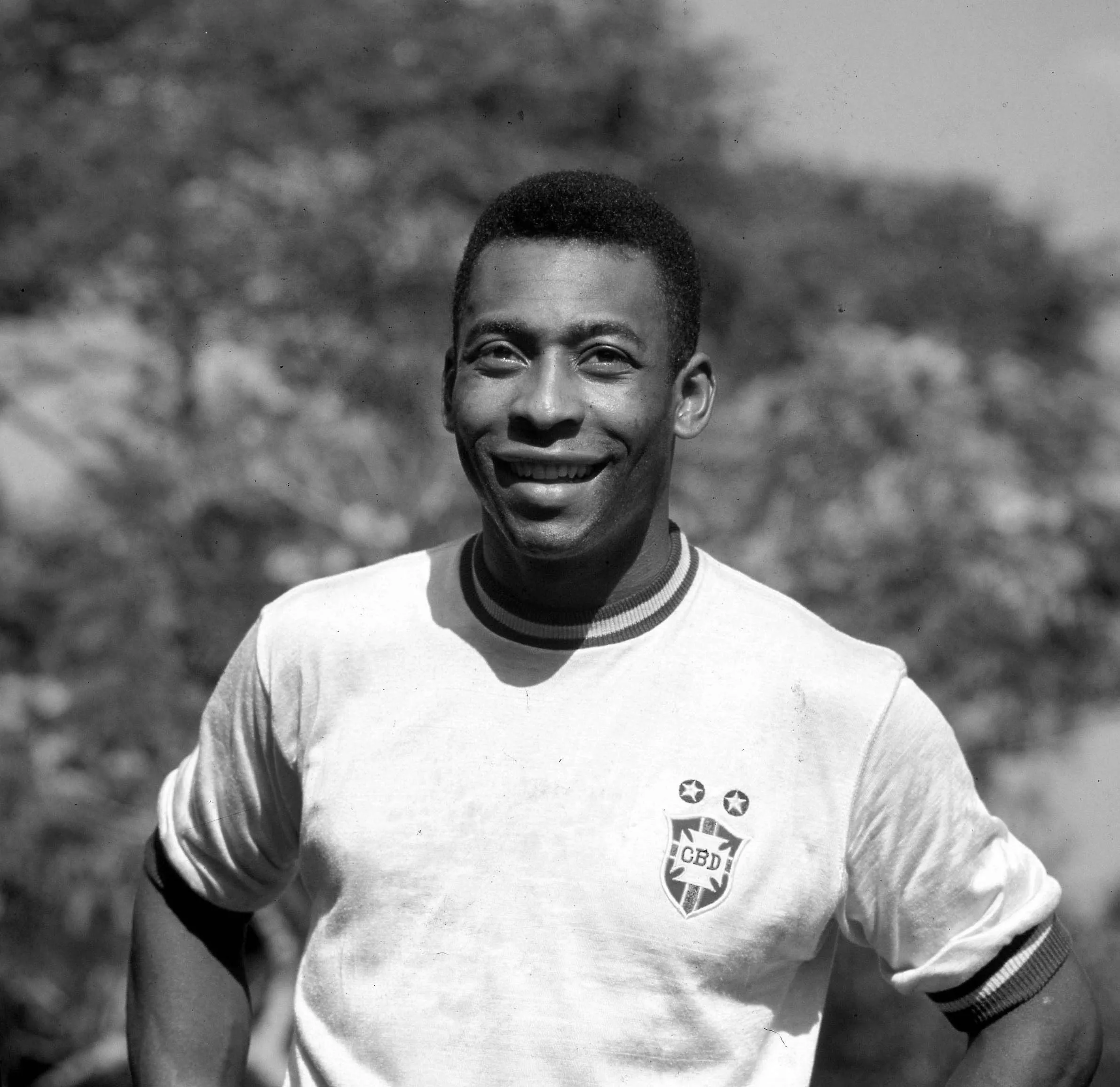 Pele Pele