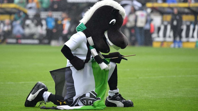 Câu lạc bộ Borussia Mönchengladbach gắn liền với linh vật một chú lừa rất dễ thương Câu lạc bộ Borussia Mönchengladbach gắn liền với linh vật một chú lừa rất dễ thương